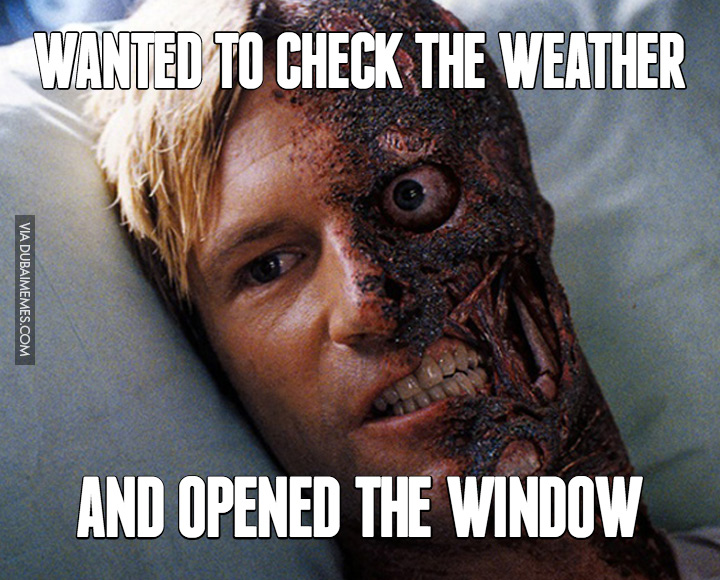 Wanted to check the weather and opened the window
